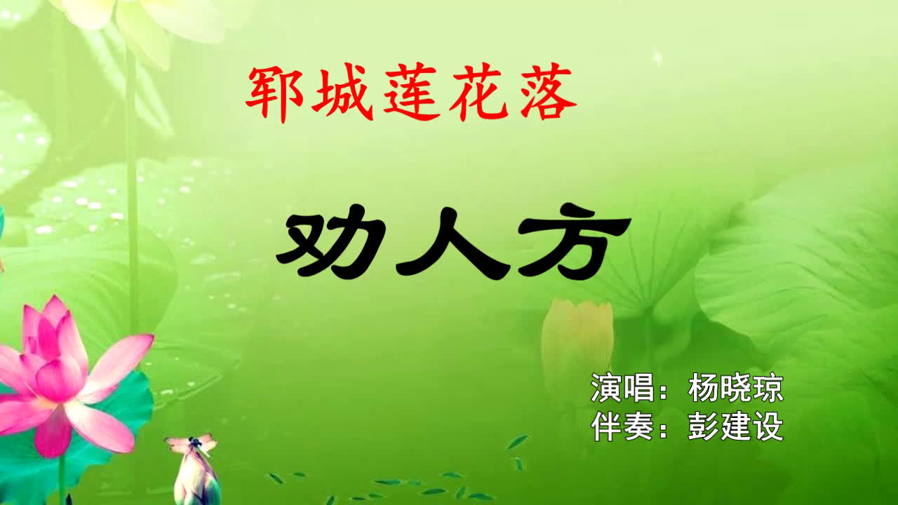 劝人方_日常_生活_bilibili_哔哩哔哩弹幕视频网