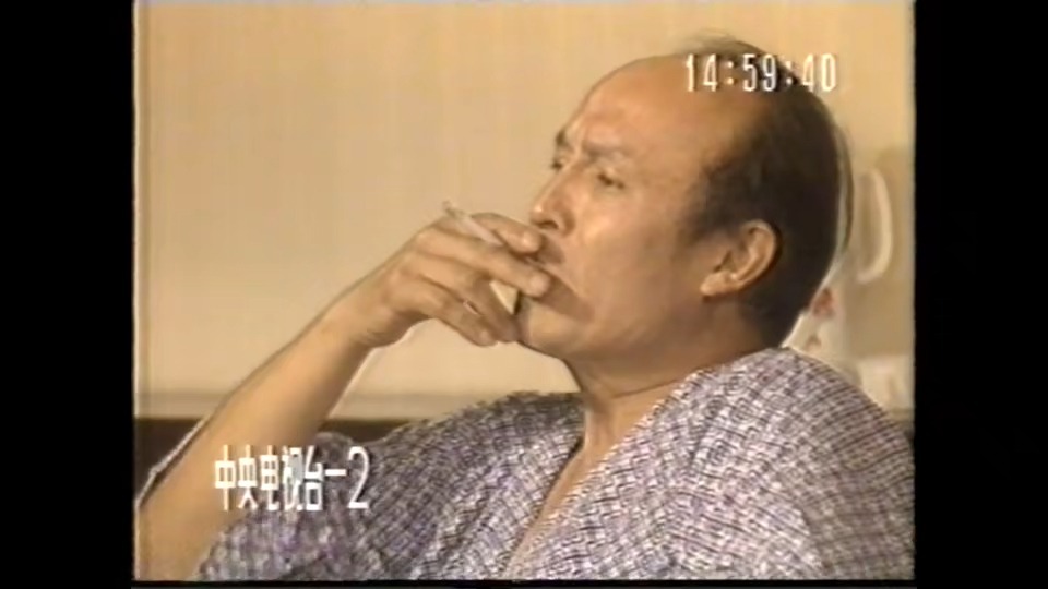 疾风劲草 1991年 李万年 许还山 凌宗英 曲国强