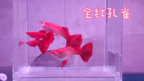 1ae38821970e128c340809d71a5e38063b67bb6a.jpg@280w_158h_1c_100q.jpg