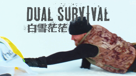 1aec616ac87e0a16a4373b485b40229f029ac0f1.png@280w_158h_1c_100q.jpg