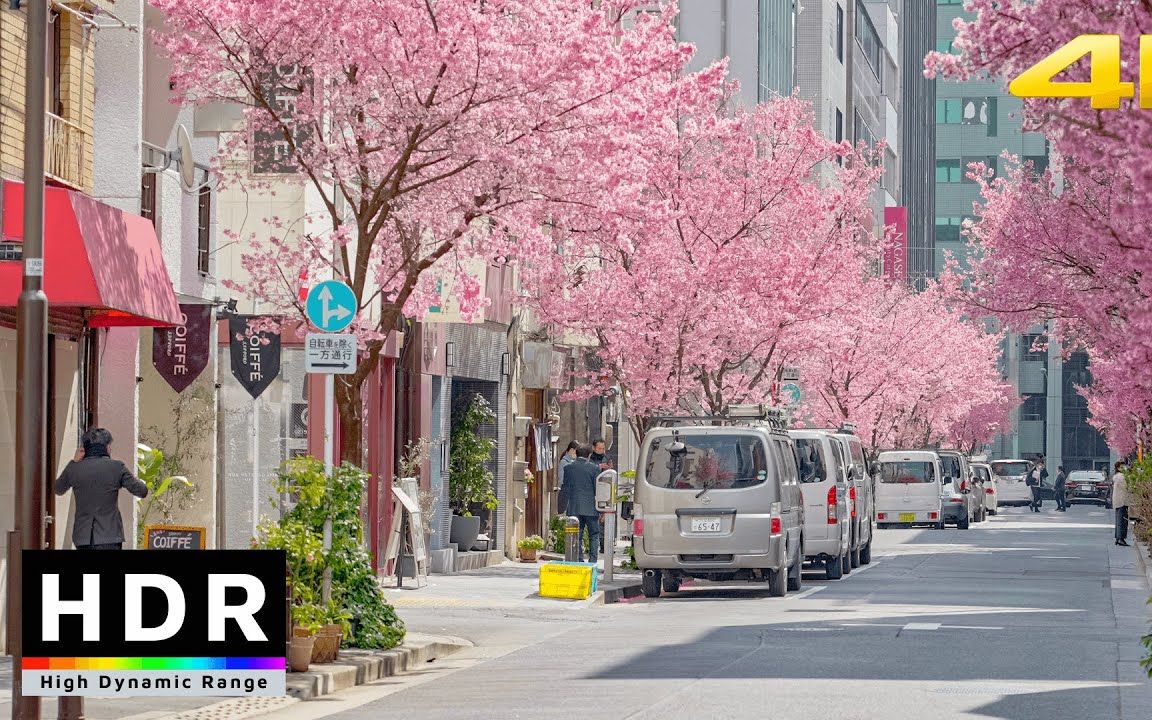 东京街景 日本桥 樱花与精致的街道