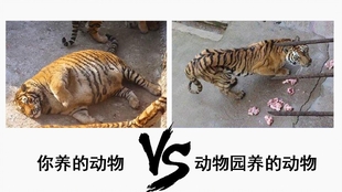 1aff32117ad3895adc81e9cbd1a263e052999e50.jpg@310w_174h_1c_100q.jpg