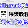 【喂饭教程】Ollama微调-量化-部署一条龙！全网最细的Ollama教程！手把手带你部署Ollama