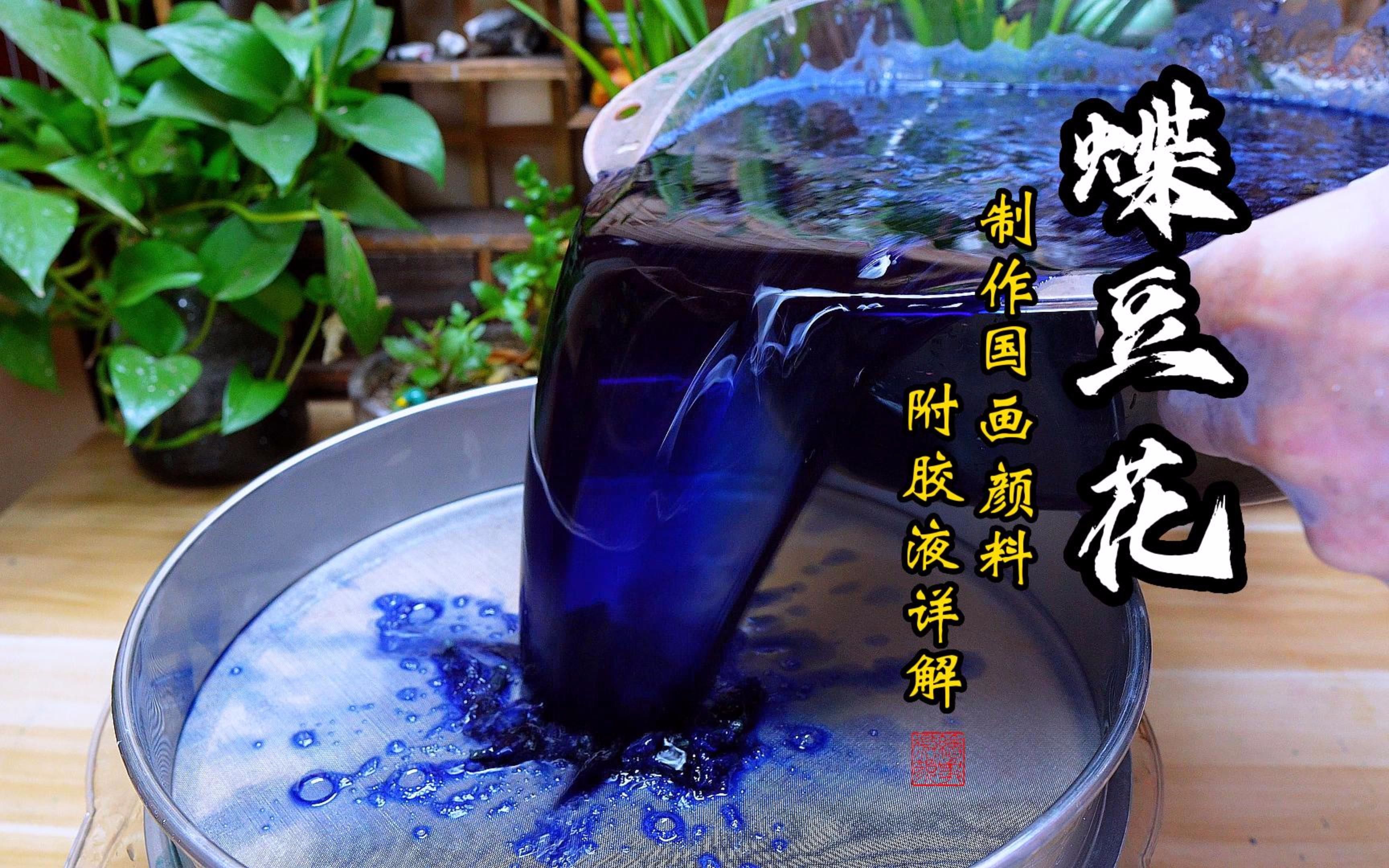 蝶豆花制作一种蓝绿相间的颜料  这个变化过程是相当的丰富  结尾附胶液调配使用储存方法