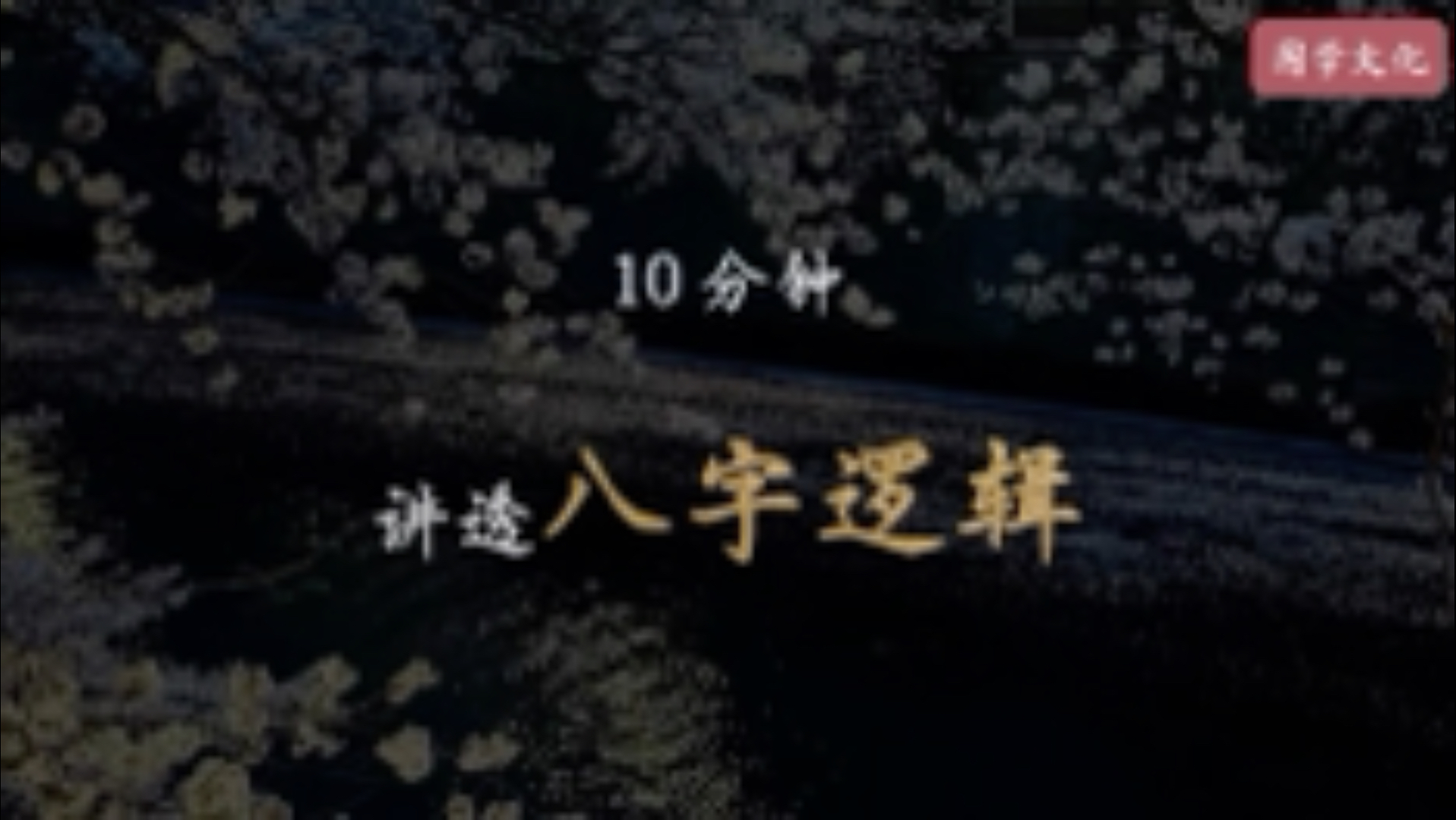 首次公开 道家真传（八字篇）