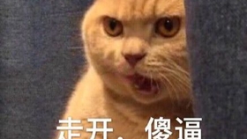 1b3d822c323afd577138740d6b595b2d15142bc1.jpg@280w_158h_1c_100q.jpg