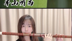 经典c调笛子曲谱_笛子c调曲谱初学者(4)