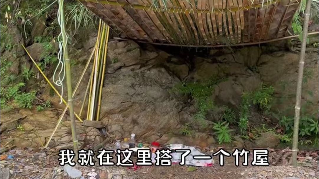 野生小希xx