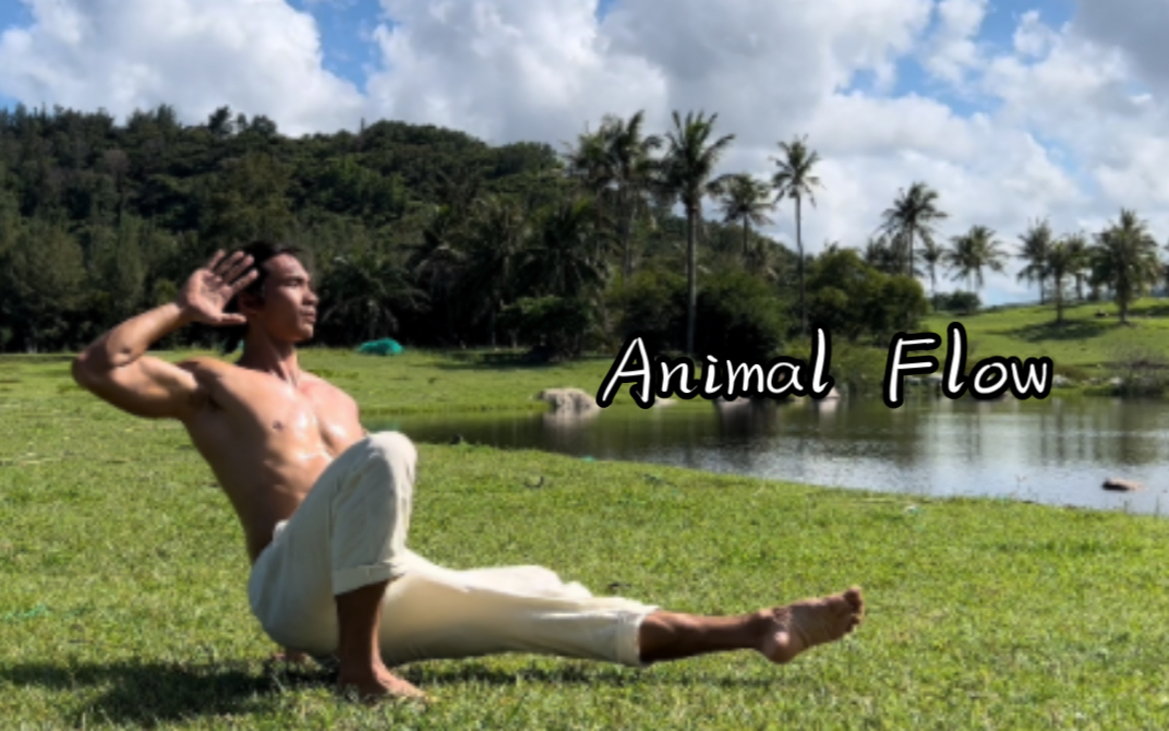 Animal Flow｜户外来一组简单的动物流节奏训练