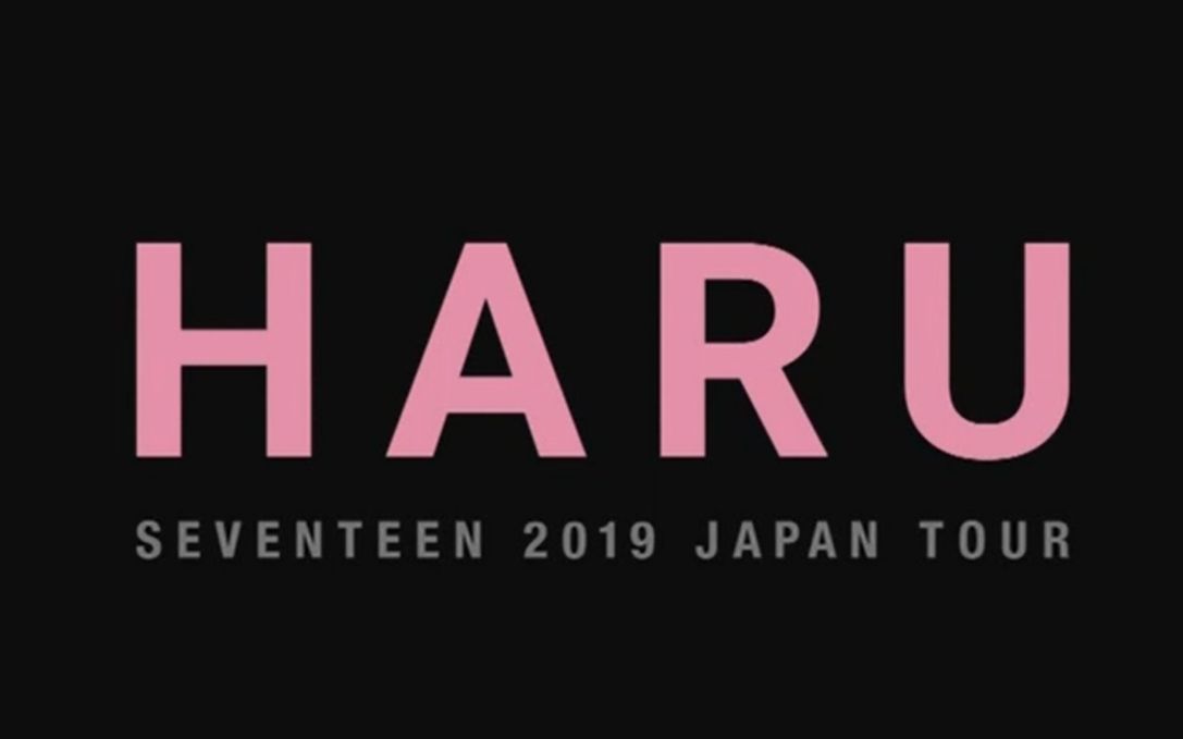 SEVENTEEN 2019 JAPAN TOUR 'HARU'-哔哩哔哩
