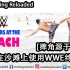 [摔角源于热爱]在沙滩上使用WWE终结技（印度少年WWE模仿秀）