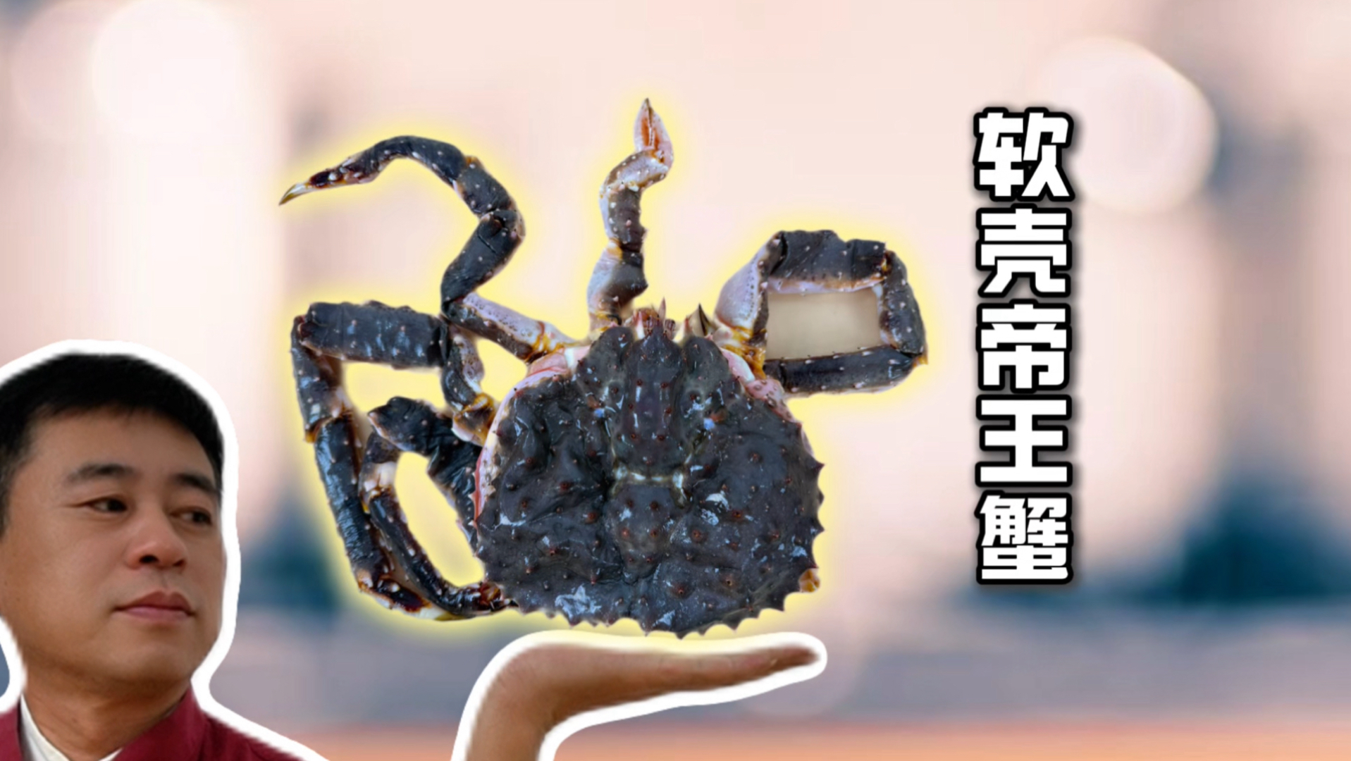 100块买只软壳帝王蟹究竟值不值