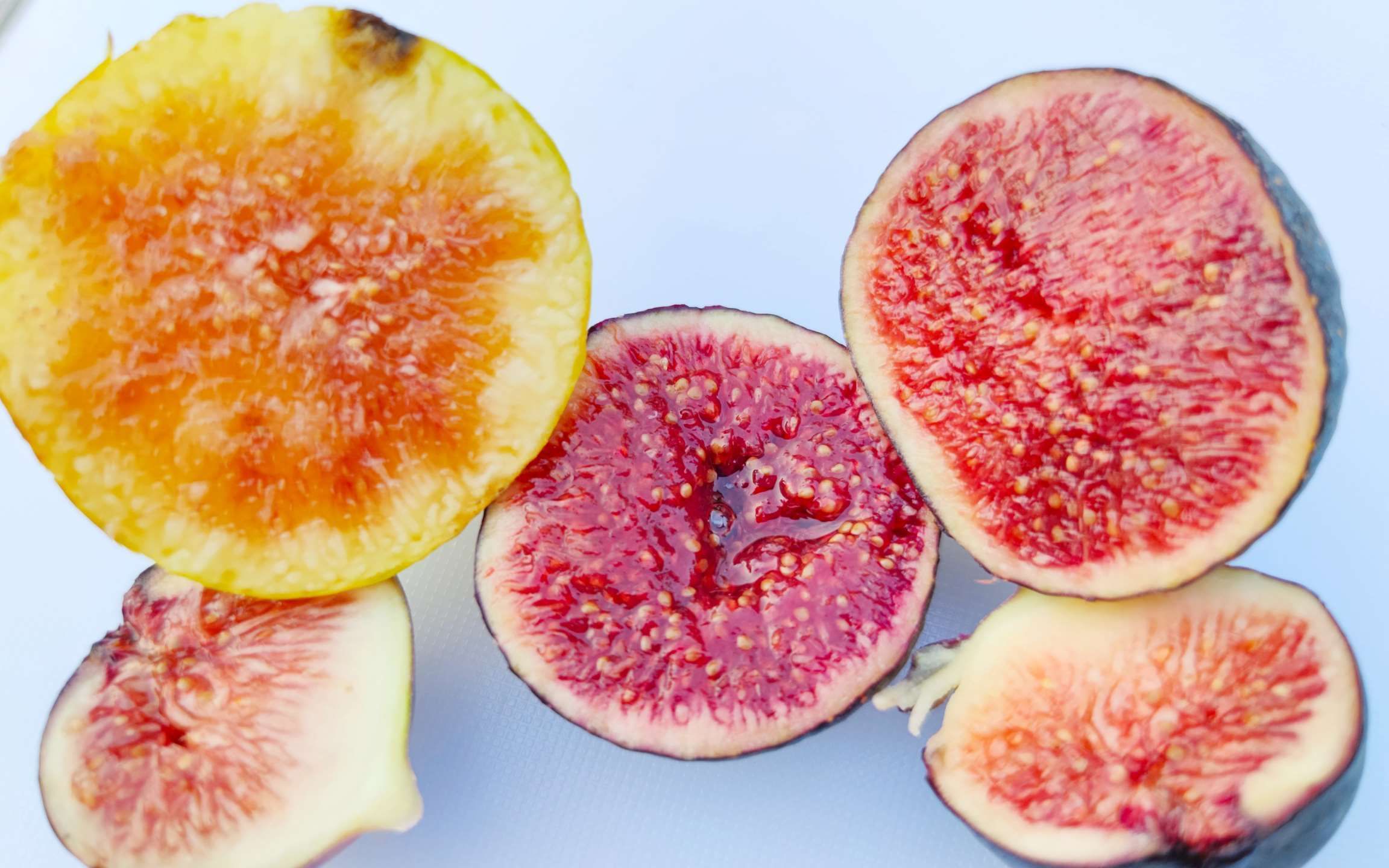 无花果哪个品种好？“由里到外”非它莫属，好看、好吃！爱流蜜！