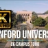 【4K世界名校】斯坦福大学 全球顶级一流大学 风景欣赏 Stanford University 航拍斯坦福