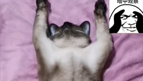 1b8afbd172525ce96165e236da8ce1cbe8d3951a.jpg@280w_158h_1c_100q.jpg