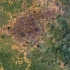 卫星影象见证中国30大城市的发展 (1985-2019)