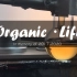 Organic · Life - 一次几乎完整的有机合成