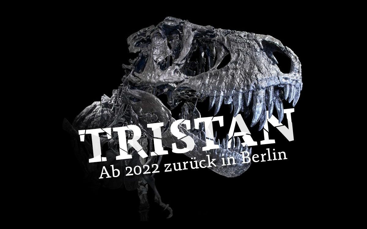 OTTO将要重回柏林！全世界保存最完好的暴龙属恐龙标本