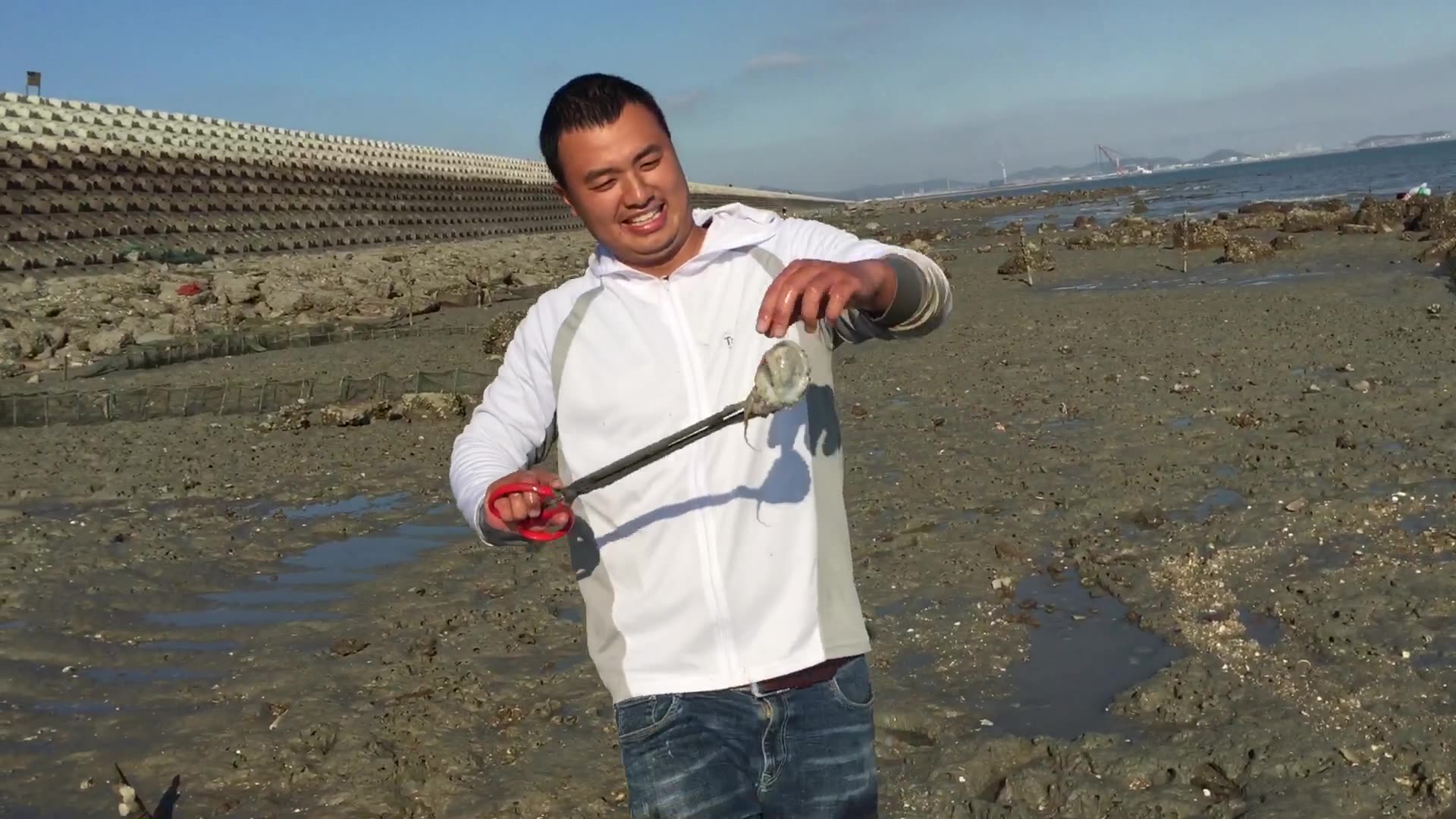 阿蜂来新建的大海坝赶海,大潮后满地的小章鱼搁浅在滩涂,抓嗨了连手套