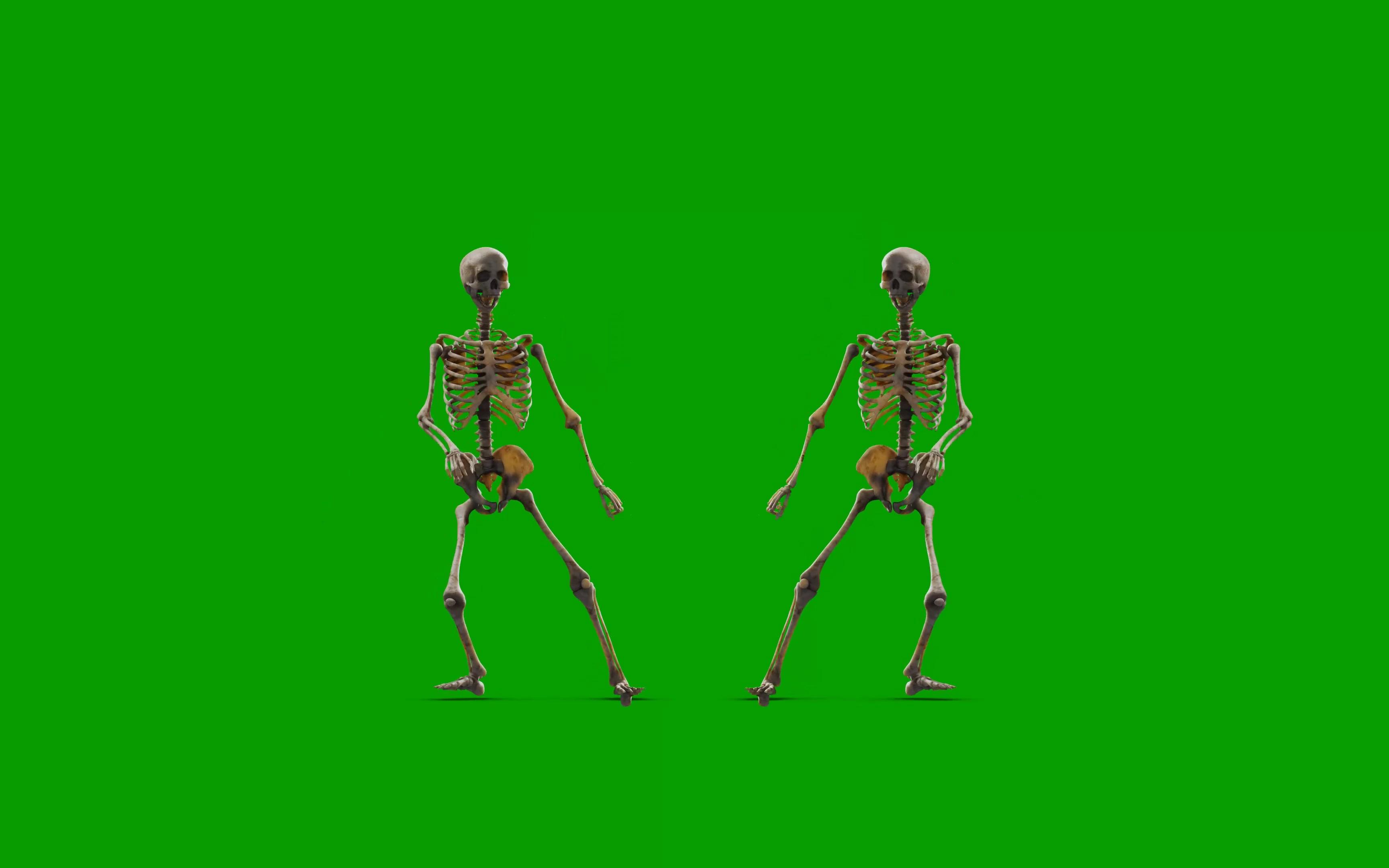 绿幕抠像跳舞的骷髅骨架