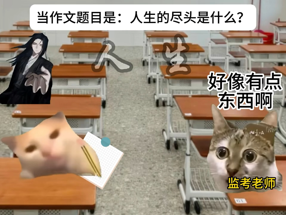人生........