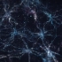 AE教程 form粒子神经元网络