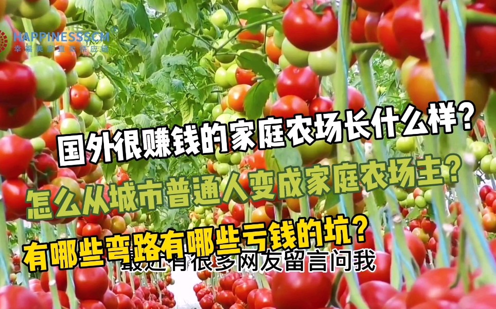 中国普通人可以做农场主的元年，看看国外年赚1亿的家庭农场长啥样？