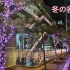 【vlog】2020日本游记|名古屋篇|电车×灯光秀×水の宇宙船