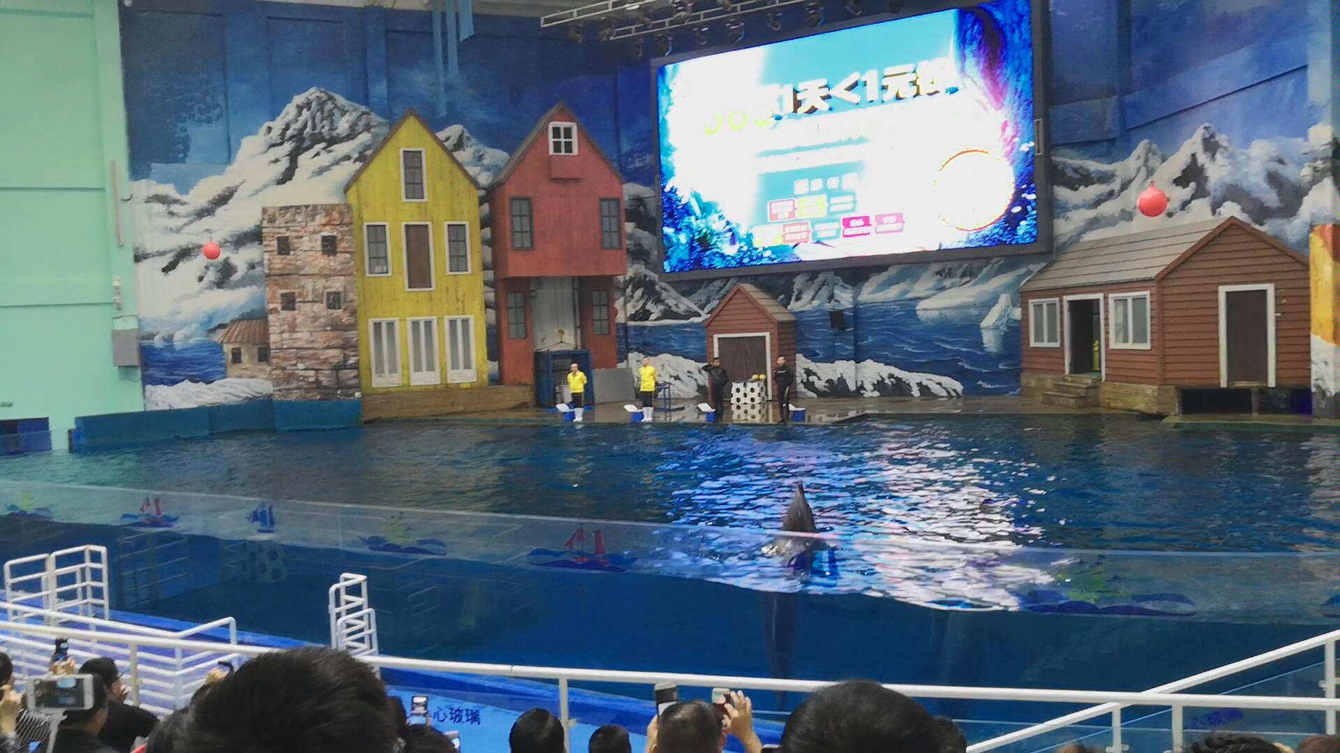 《西安曲江海洋馆》番外篇(海豚表演)