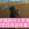 我5岁老友的秘密任务