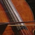 贝多芬第九交响曲第四乐章，阿巴多指挥柏林爱乐演奏。欣赏一下第四乐章的弦乐表现