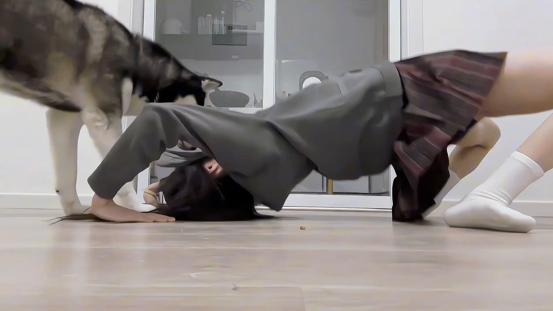 狗子走开，让我来