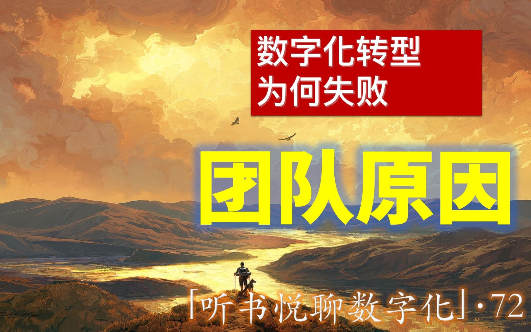 数字化转型为何失败:团队原因——「听书悦聊数字化」第72集哔哩哔哩bilibili