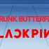 【BLACKPINK】最新回归单曲《Drunk Butterfly》打歌现场混剪/你绝对没看过的粉墨打歌现场