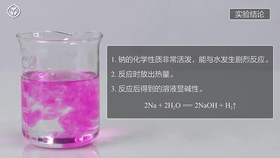 金属钠遇水会怎样 1c42f286ecef38edf118f6c8be28c72f44683400.jpg@280w_158h_1c_100q.jpg