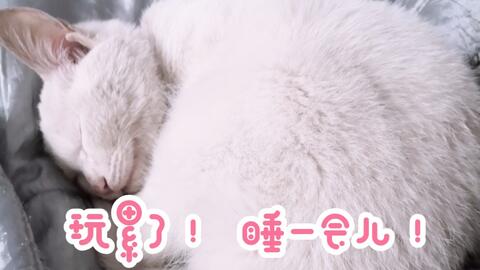 1c48f74d5f184a0b980c8585587184701756fb06.jpg@480w_270h_1c