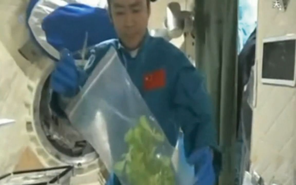 【中国粮的奇迹】在太空种蔬菜，中国宇航员骄傲得竖起大拇指
