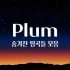 【治愈放松】韩国音乐人Plum的1小时冷门歌曲合集