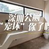 #这就是深圳 ｜一厕一景，永远有纸