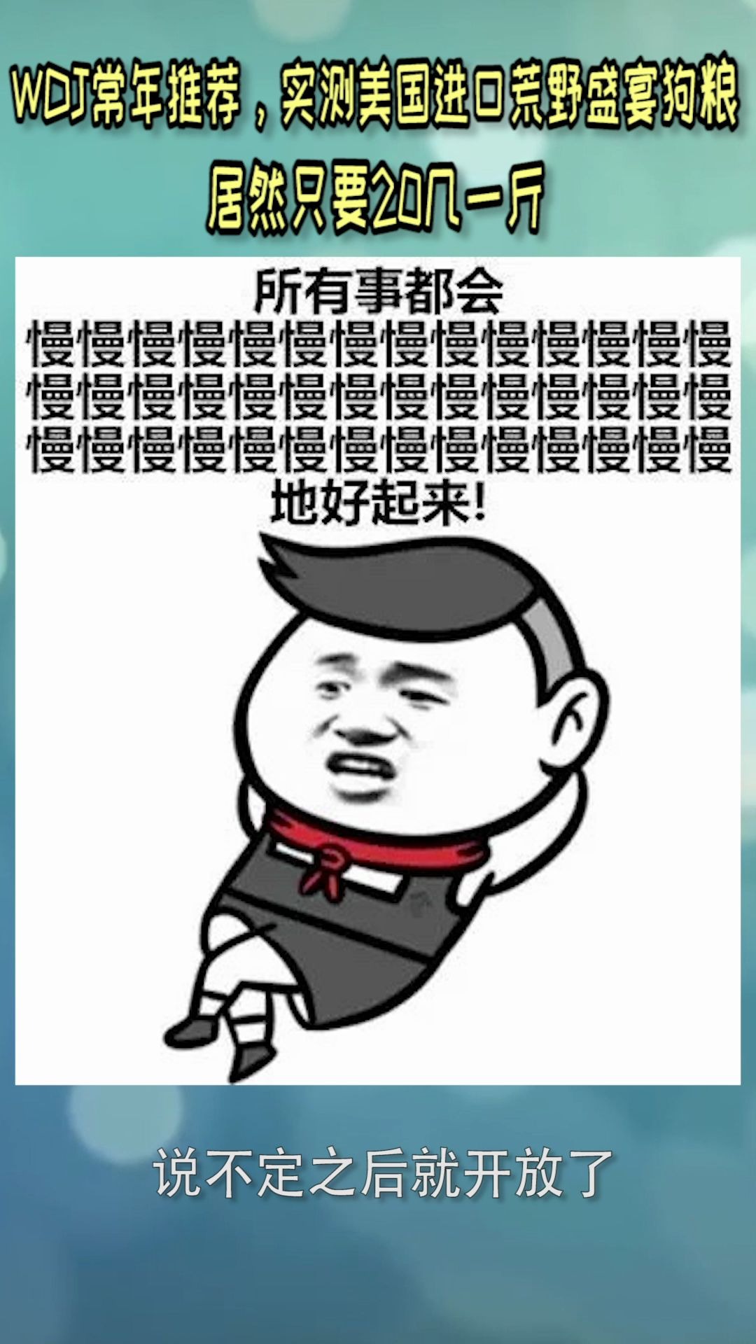 WDJ常年推荐，实测美国进口粮荒野盛宴狗粮，只要20多一斤