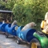 有排面！80岁老人为狗子建造专属过山车，载着十多只狗子满山兜风