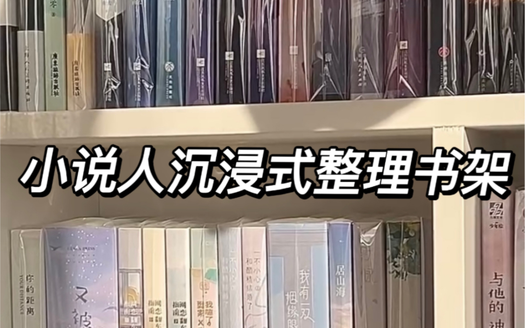 沉浸式整理书架