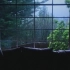 【ASMR】【水声】两小时窗外雨声