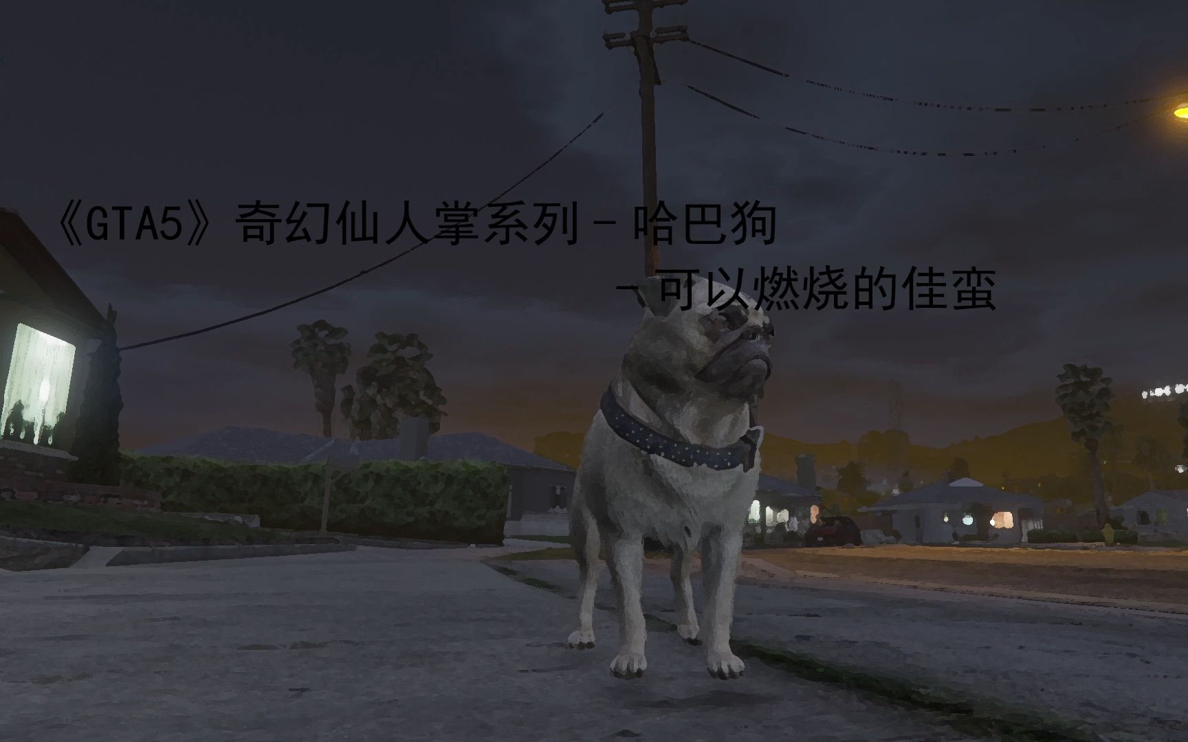 Gta5 奇幻仙人掌系列第一期 哈巴狗追赶小姐姐 哔哩哔哩 つロ干杯 Bilibili