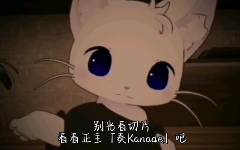 【奏Kanade/他好像可爱得不像个人切】猫猫的小动作