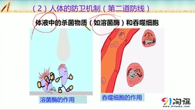 1cef78b9268893c1bd558b1ae88a37fbc10472fc.jpg@280w_158h_1c_100q.jpg