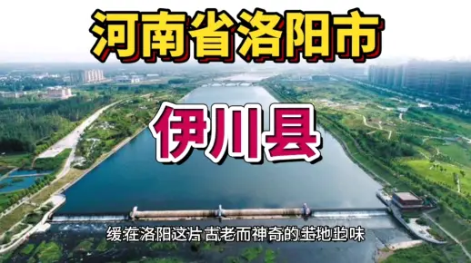 河南省洛阳市伊川县！