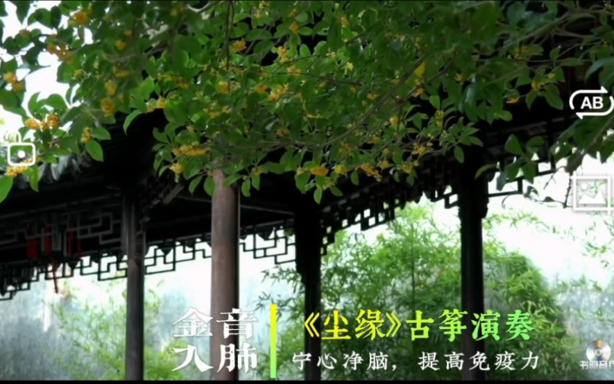 『五音疗疾』养元贮能，宁心净脑，缓解疲劳，调整情绪，释放压力。