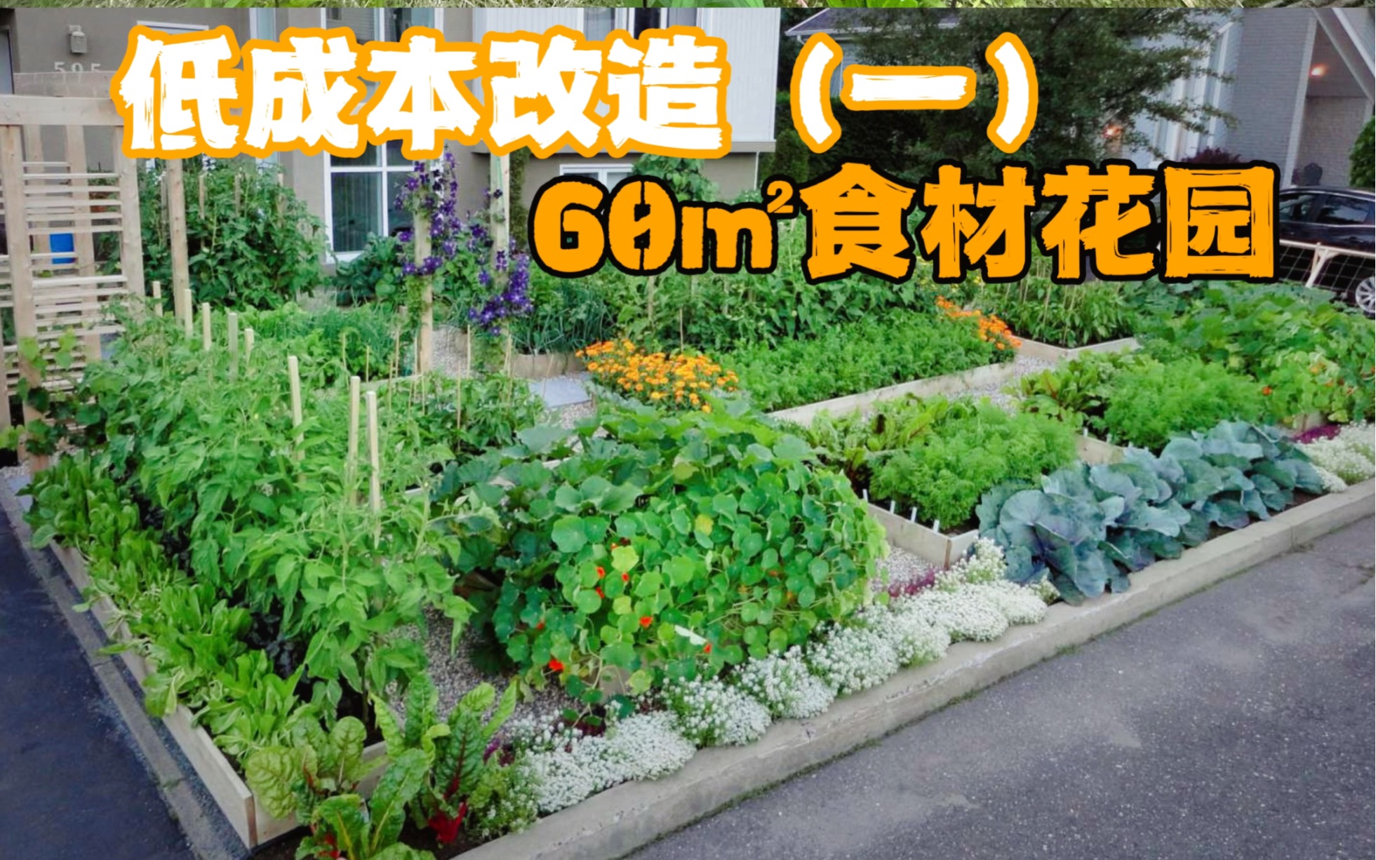 低成本改造我的60平方食材花园！