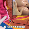 带您了解：肛肠科必做的检查——指诊。传说中的“一阳指”#指诊#肛肠镜